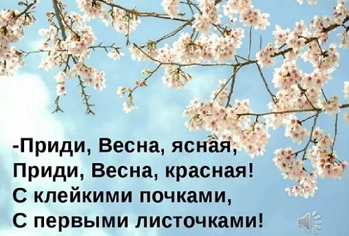 Небо весной. Апрель небо. Яркое солнце весной. Весеннее солнышко. В ясный весенний день ранним утром мы собрались.