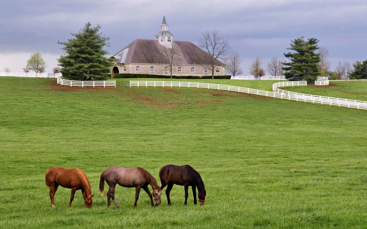 ферма ранчо испания. ранчо конюшня сша. S ferma. монруж франция конюшни. ранчо конюшня сша.