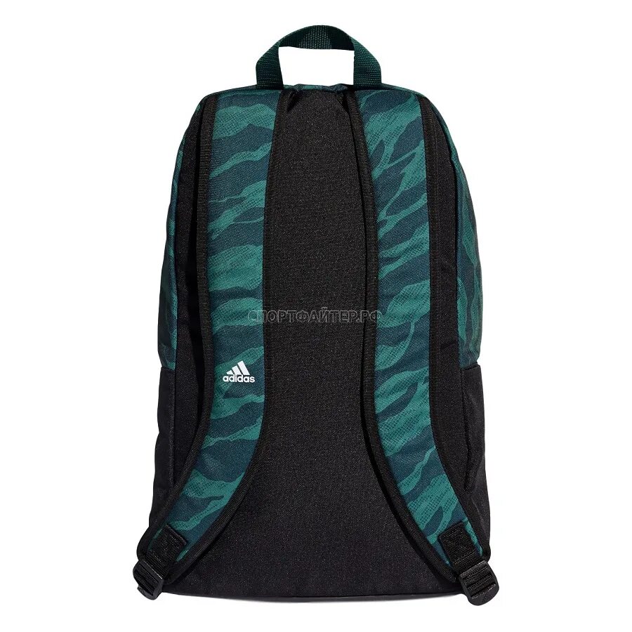 Bp basic