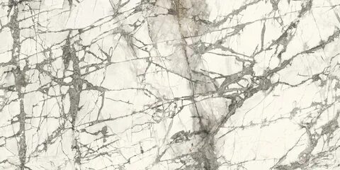 Calacatta imperial