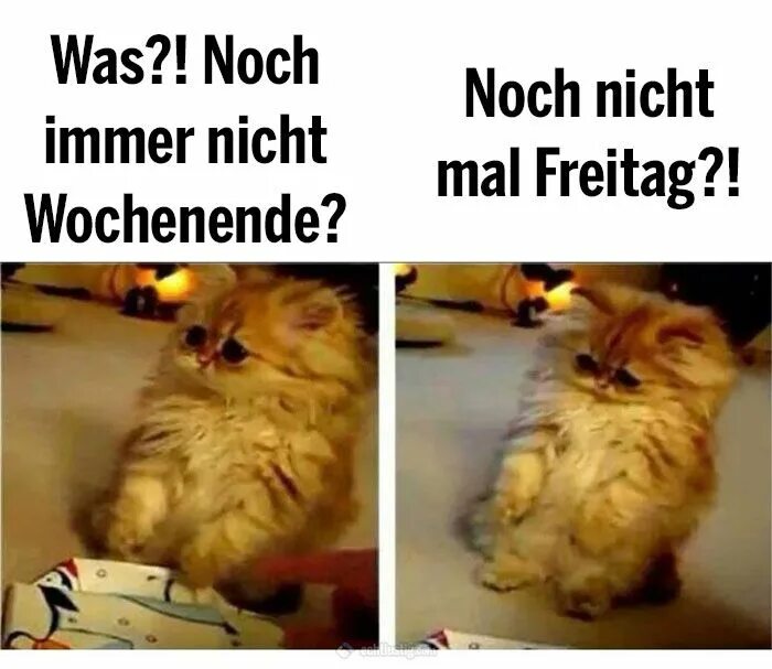 Отрицание в немецком языке правило. Текст batter up. Nicht mal das. Nicht mal das. Nicht mal das.