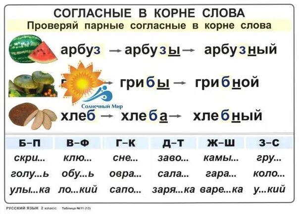 Д т примеры слов. Парные согласные в корне слова 2 класс. Слова с парной согласно. Проверяемые парные согласные примеры. Парная согласная в корне и на конце слова.