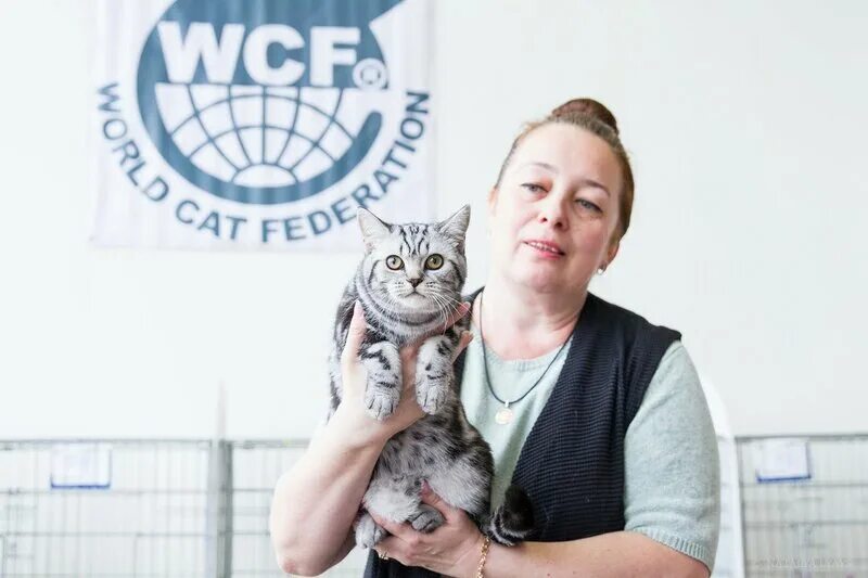 Catlife форум. Catlife форум