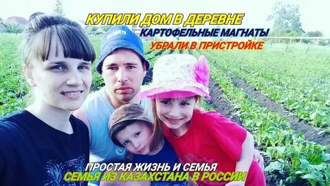 Семья нелепиных последнее на дзене