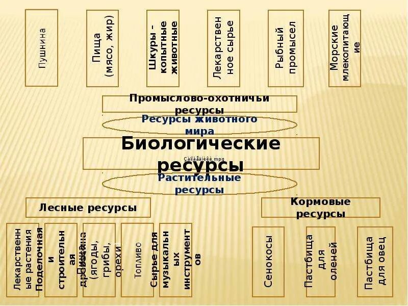 Биологические ресурсы и их использование. Классификация биологических ресурсов. биологические ресурсы схема. презентация на тему биологические ресурсы. биоресурсы классификация.