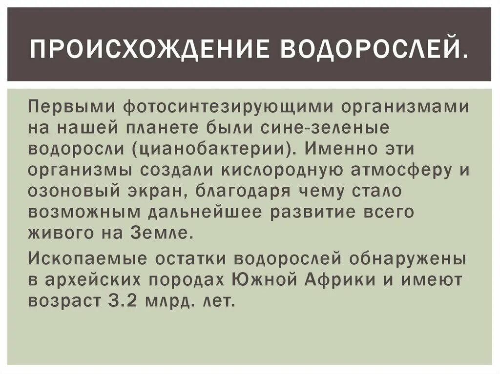 В результате чего образуются водоросли. Происхождение сине зеленых водорослей. Появление водорослей кратко. Эволюция водорослей кратко. Развитие водорослей кратко.