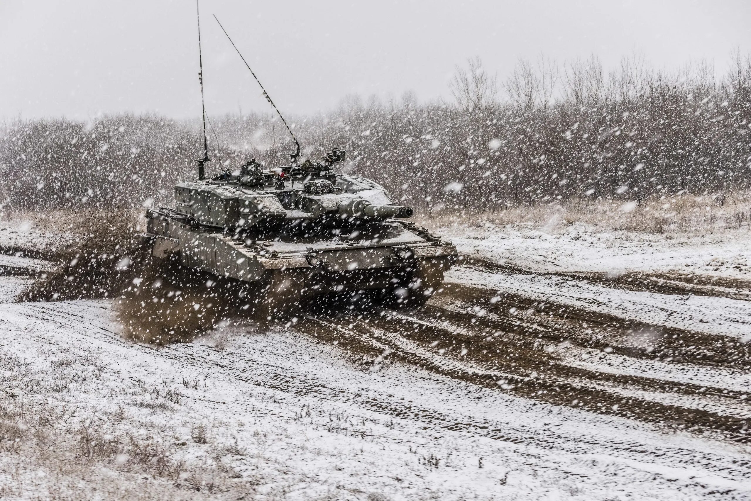 Snow leopard 2