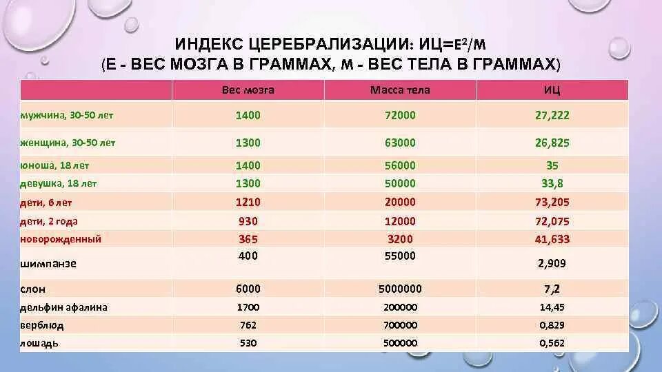 Какова масса мозга. Масса мозга к массе тела шпаргалка в граммах. Масса граммов мозга. Сколько весит мозг ребенка 10 лет.