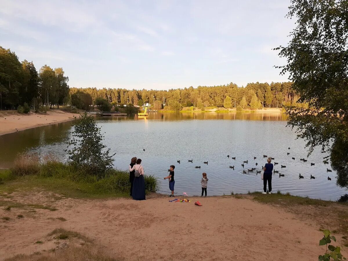 Пляж, beach, Russia, Moscow Region, gorodskoy okrug Chernogolovka - Yandex.Maps