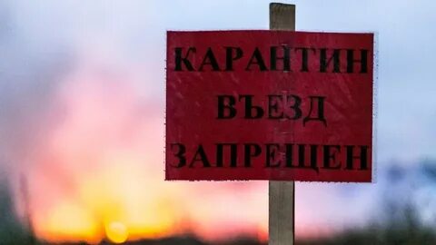 Карантин по бешенству в москве