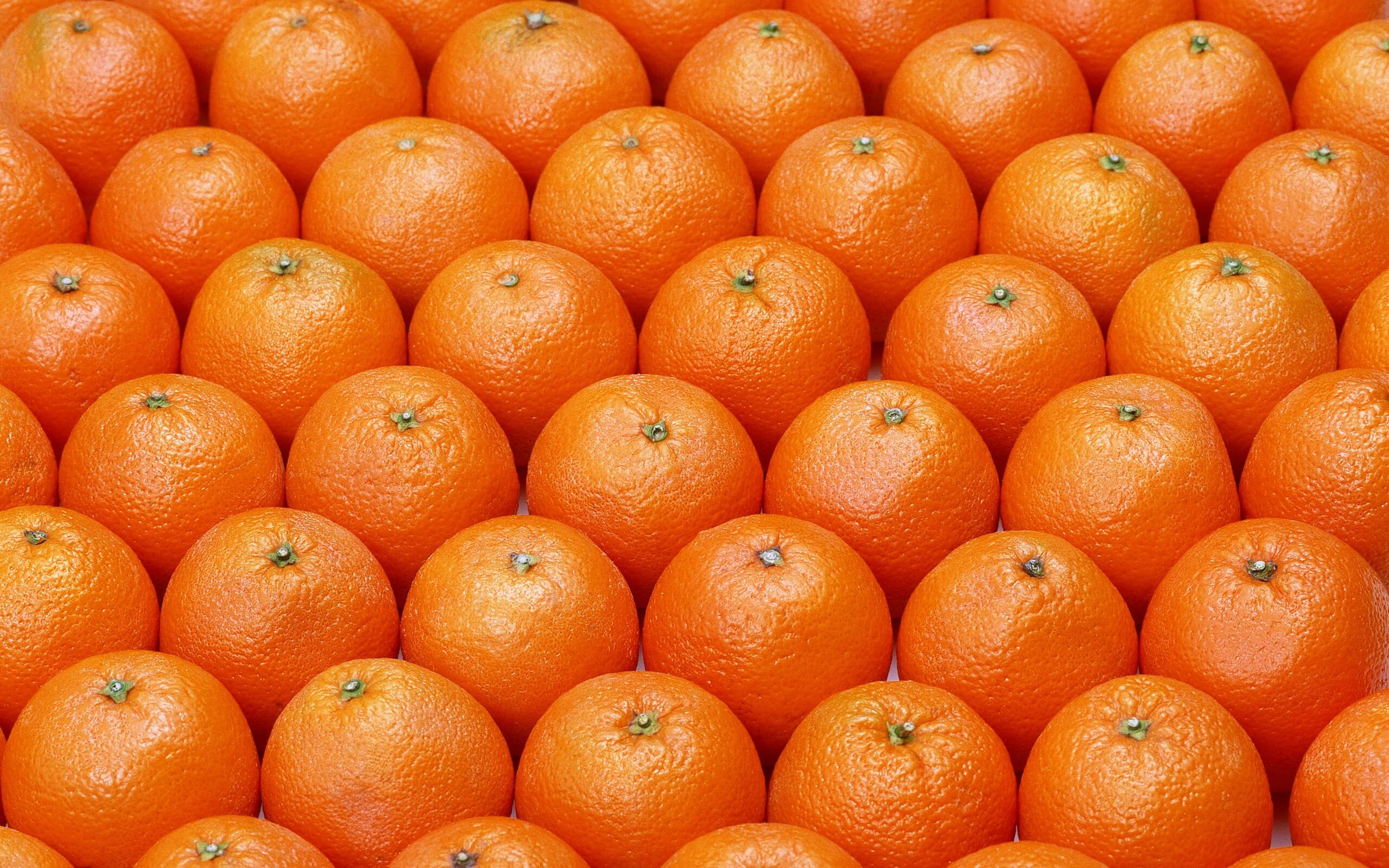 Картинки апельсин. Мандора фрукт. Оранжевый мандарин. Колоновидный мандарин. Апельсин фрукт.