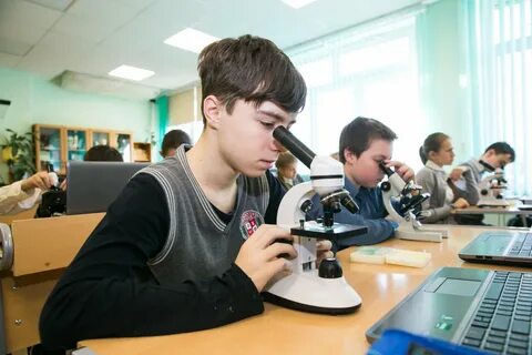 Элжур богатовская средняя школа 6 класс