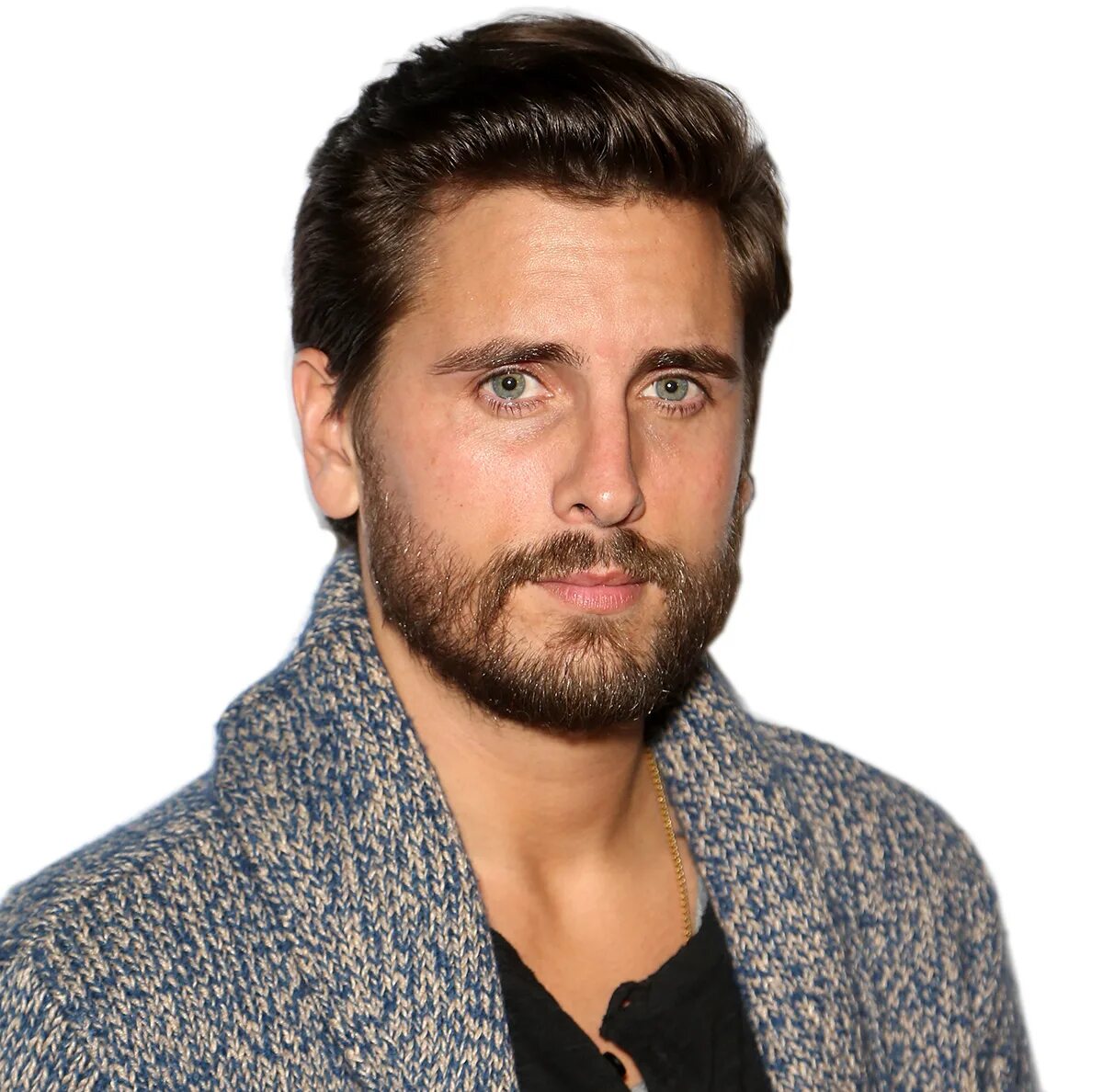 Скот дисик. Скот дисик. Скотт дисик. Скотт дисик 2000. Скот дисик.