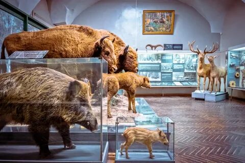 Государственный историко археологический музей