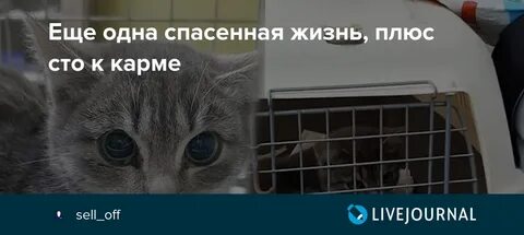 Была спасена не одна жизнь