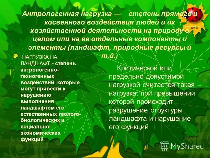 Антропогенное воздействие на растения. Антропогенная нагрузка. Влияние антропогенных ландшафтов на природу. Растения в антропогенных ландшафтах. Антропогенная нагрузка на ландшафты.