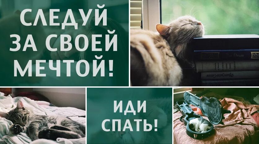 Следуй за своей мечтой. Следуй за своей мечтой иди спать. следуй своей мечте. мечтаю поспать. мечта поспать.