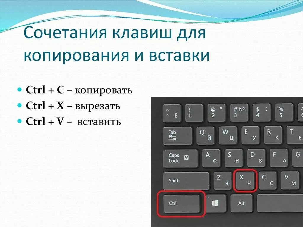 Какое сочетание позволяет сохранить файл. Как вставить скопированный текст на ПК. Клавиши для копирования и вставки. Кнопки для копирования и вставки на клавиатуре. Команды для копирования и вставки.