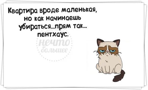 У нас есть как небольшие