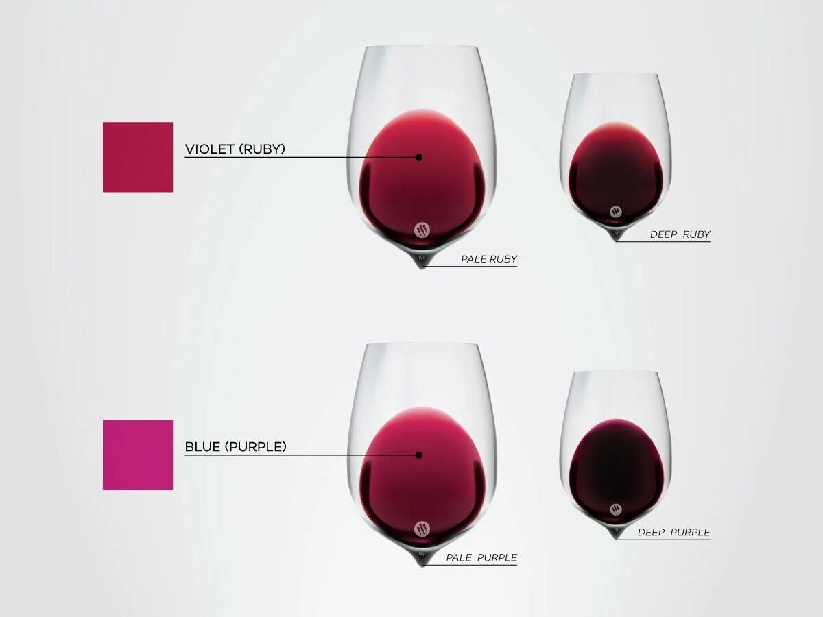 Как получается вино. Палитра вина wine folly. цвет красного вина. цвет рубиновое вино. красный рубиновый цвета вина.