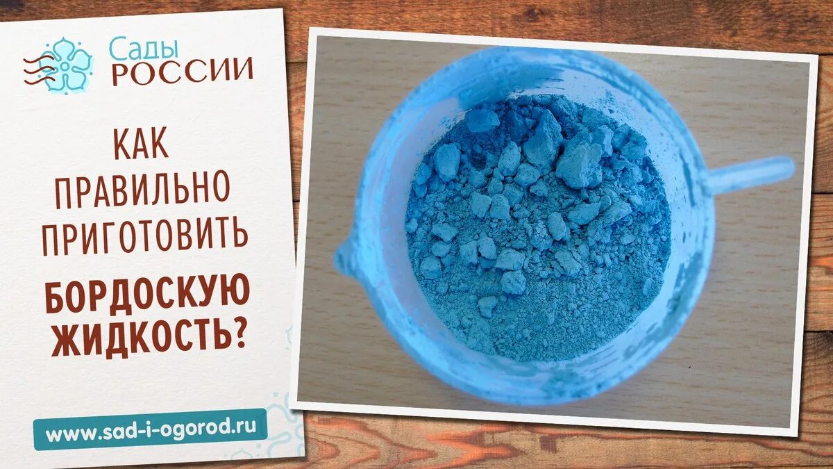 Раствор железного купороса в воде. Известь с медным купоросом. Известь с купоросом. Медный купорос и известка. Медного купороса в ведре.