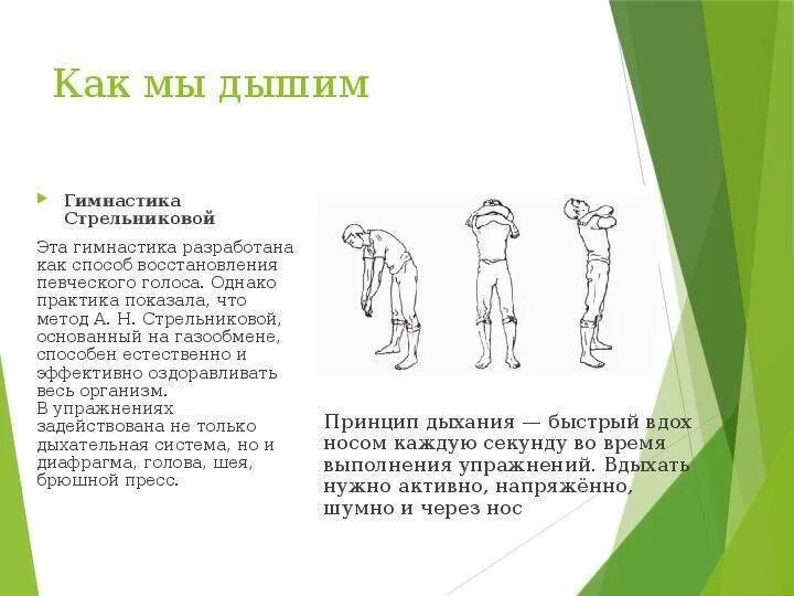 Упражнения стрельниковой дыхательная для легких гимнастика начинающих. Дыхательная методика стрельниковой. Упражнения стрельниковой дыхательная для легких гимнастика начинающих. Упражнения стрельниковой дыхательная для легких гимнастика начинающих. Упражнения стрельниковой дыхательная для легких гимнастика начинающих.