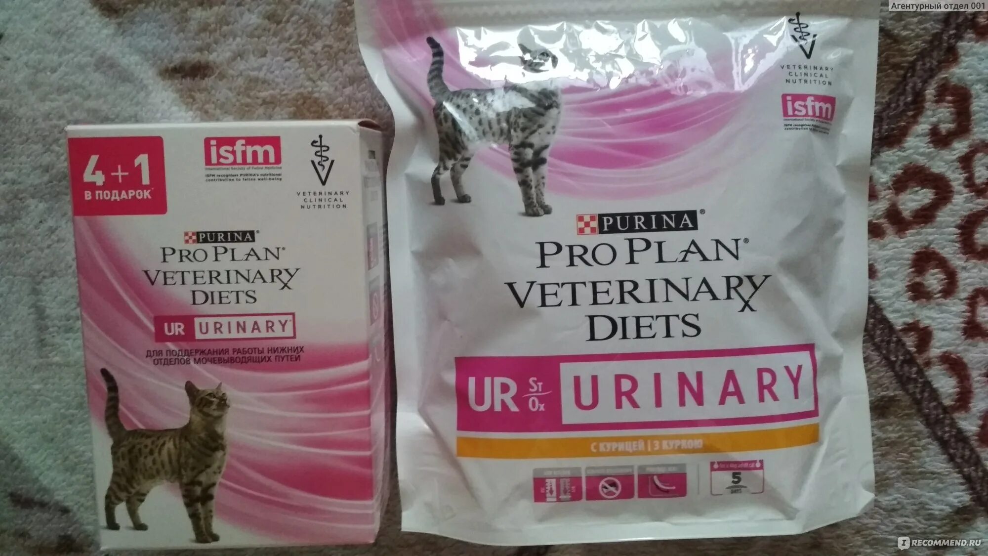 Лечебный корм Уринари для котов. Протект Уринари для котов корм. Pro Plan Urinary для кошек сухой дозировка. Pro Plan Urinary для кошек уходит с продажи. Pro plan urinary diets ur