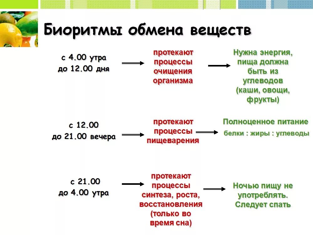 Режим питания. Биологические ритмы и питание. Биологические ритмы и режим питания. Правильный режим питания. Питание 5 энергий