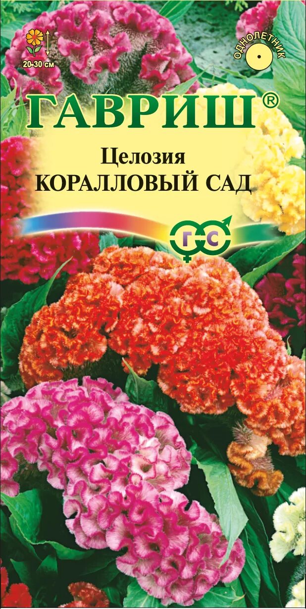 Целозия гребенчатая коралловый сад. Гавриш целозия гребенчатая коралловый сад. Гавриш целозия коралловый сад. Целозия семена Гавриш. Целозия гребенчатая коралловый сад семена.