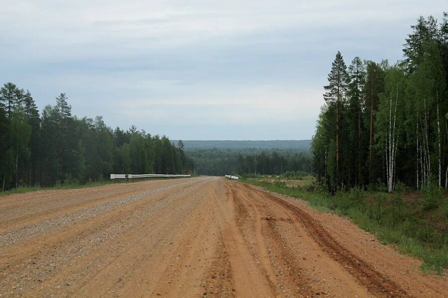 Дорога рецензия. Гайны Усть черная. Дорога Койгородок Гайны. Посёлок Гайны Пермский край. Дорога Усть-черная - Керос.