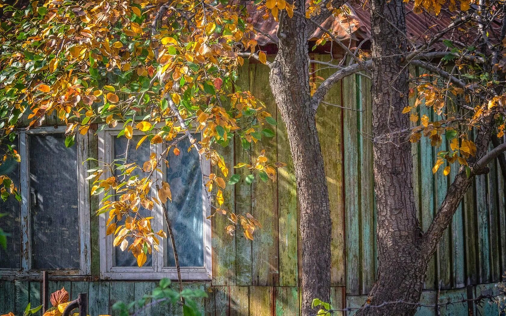 Текст конец сентября. Рассказ бунина антоновские яблоки. Поле осенью. С этой поры сады пустеют погода. Конец сентября диктант.