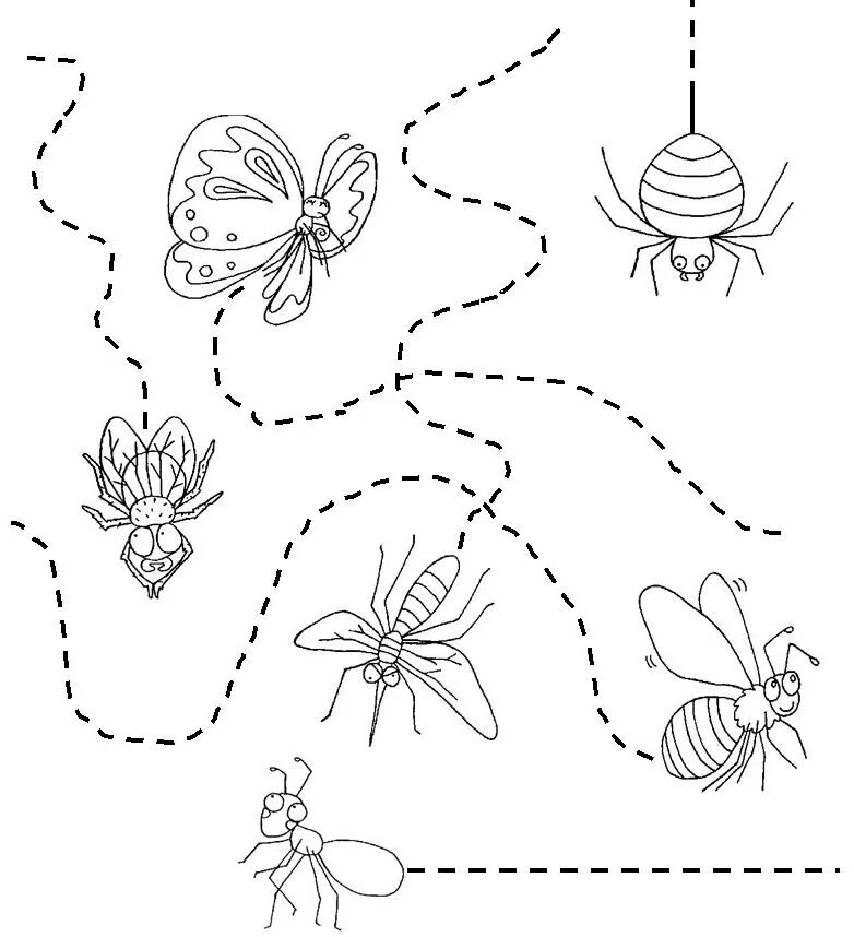 Tracing back. Насекомые задания для детей. Задания для детей по теме насекомые. Задания на тему насекомые для дошкольников. Раскраски с заданием насекомые для дошкольников.