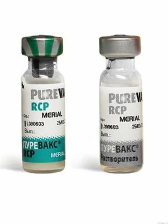 Пуревакс RCPCH для кошек. Пуревакс вакцина для кошек. Пуревакс вакцина для собак. Пуревакс без хламидиоза вакцина.