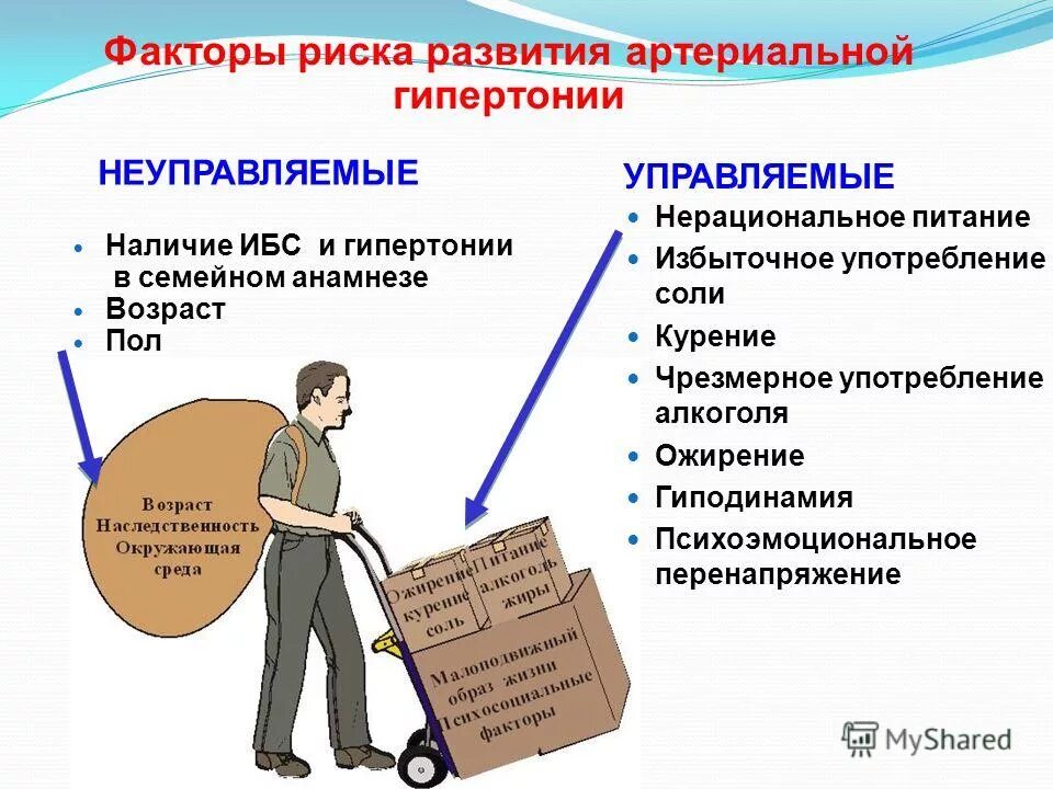 Риск развития артериальной гипертензии. Факторы риска гипертонической болезни. факторы риска развития аг. факторы риска развития артериальной гипертензии. гипертоническая болезнь факторы риск.