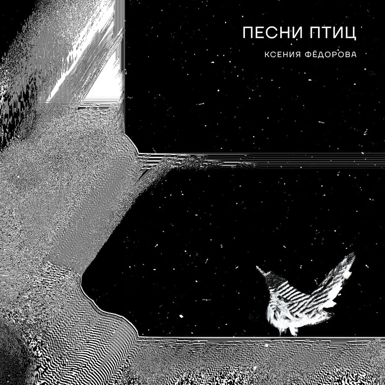 Птицы-песни. Птицы обложка трека. Музыкальный альбом с птицами. Песня птицы разобьются