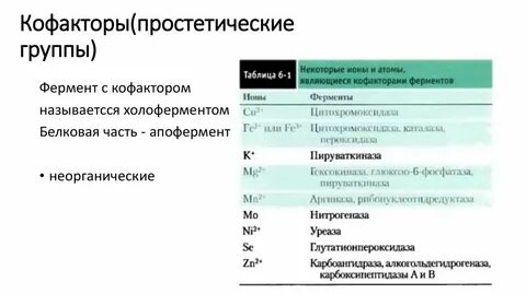 Кофактор