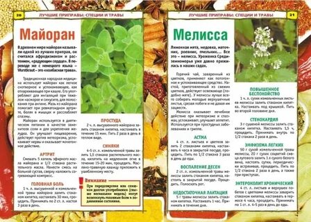 Какие специи применять
