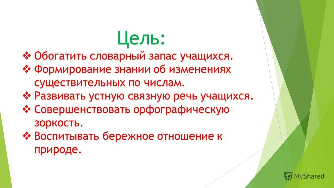 Обогатить словарный запас учащихся. Цели обогащения словарного запаса школьников. Словарный запас учащихся картинка. Словарный запас ученика 4 класса. Словарный запас человека это величина