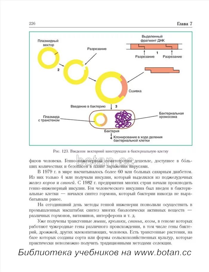 Введение рекомбинантной плазмиды в бактериальную клетку. Получение генно-инженерного инсулина. Схема получения инсулина. Методы введения ДНК В бактериальные клетки. Встраивание гена инсулина в плазмиду