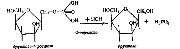 Фосфатаза биохимия. Кислая фосфатаза реакция биохимия. Реакция кислой фосфатазы. Катализируемая реакция кислой фосфатазы. Кислая фосфатаза схема реакции.
