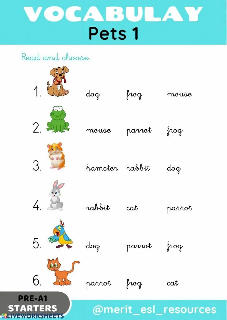 My pets задания для детей. Интересные задания по английскому. My pets английский язык. Английский язык my pet. My pets английский язык.