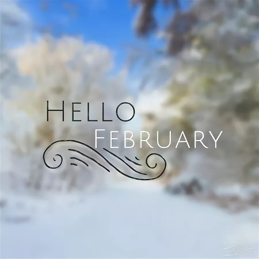 Привет февраль песня. Hello февраль. Привет февраль. Привет февраль стильные. Hello February красивые.