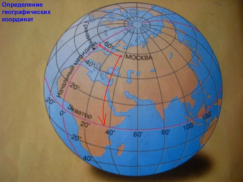 Глобус с градусной сеткой. Меридианы на глобусе. Градусная сетка на глобусе и карте. Глобус с широтами. Географическая сетка координат 5 класс