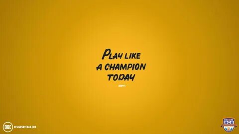 Like champion