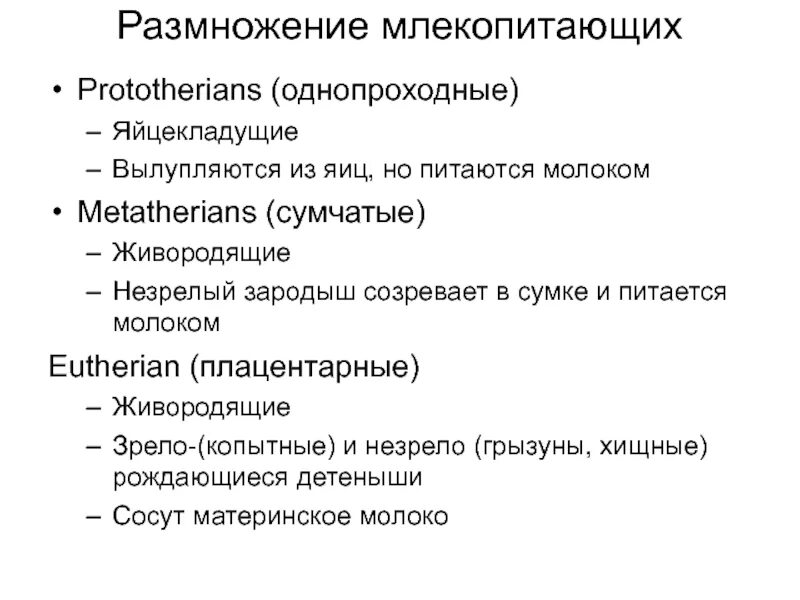 Способы размножения млекопитающих 7 класс. Размножение высших млекопитающих. Размножение и развитие млекопитающих кратко. Размножение млекопитающих кратко. Высшие млекопитающие характеристика