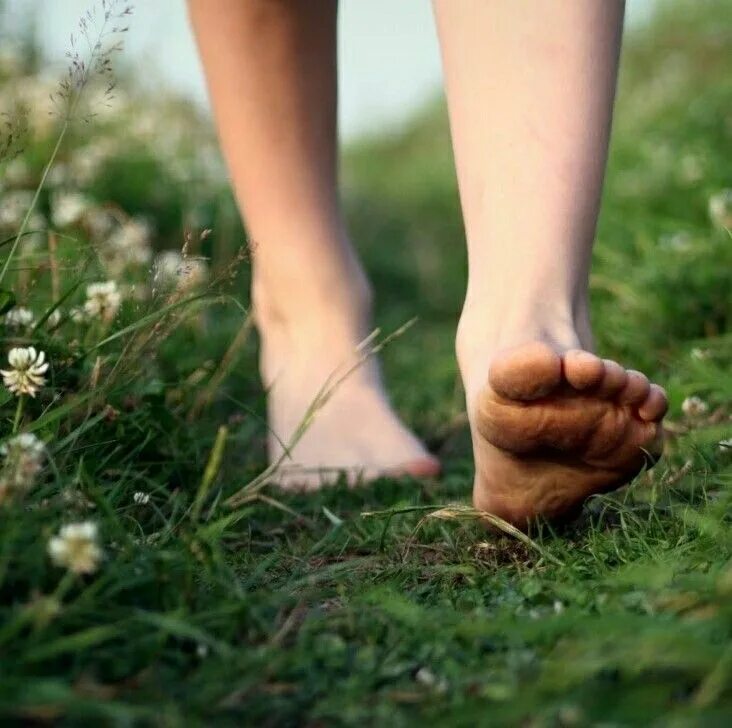 Техника первого шага. Маленькими шагами к мечте. Маленькими шагами к большой цели. Шаг к мечте. Вперед к мечте.