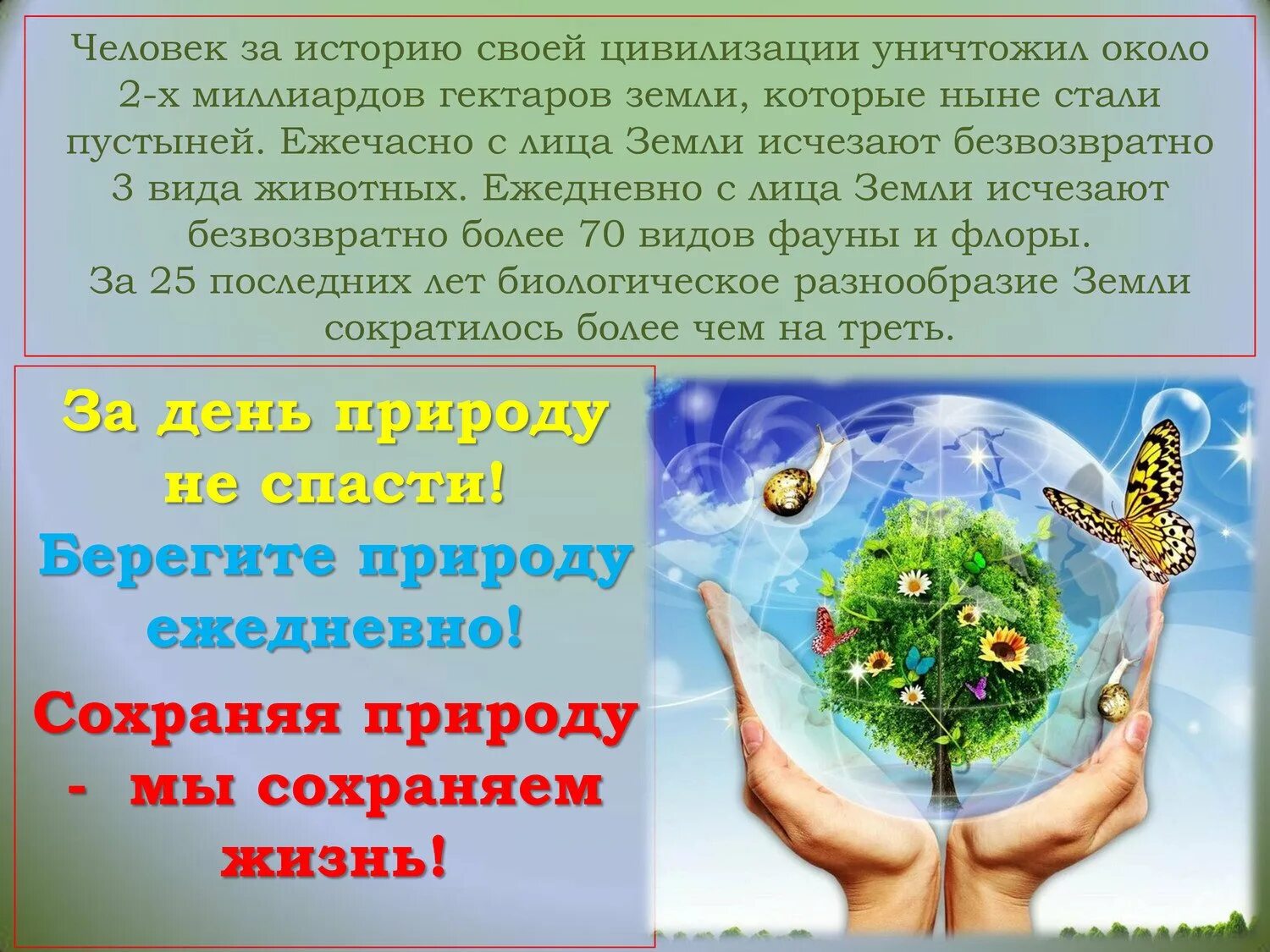 Всемирный день эффективности 20 июня. Берегите природу. Берегите природу доклад. 5 июня всемирный день охраны окружающей. Презентация на тему берегите природу.