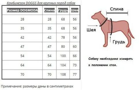 Как узнать размер собаки для одежды