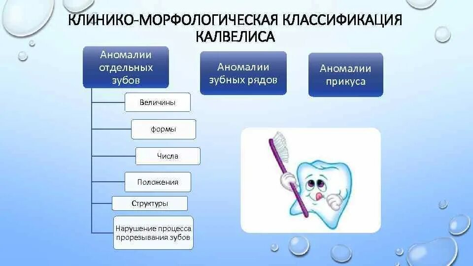 Классификация зубных аномалий. Классификация зубных аномалий
