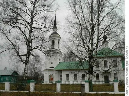 Борок костромской